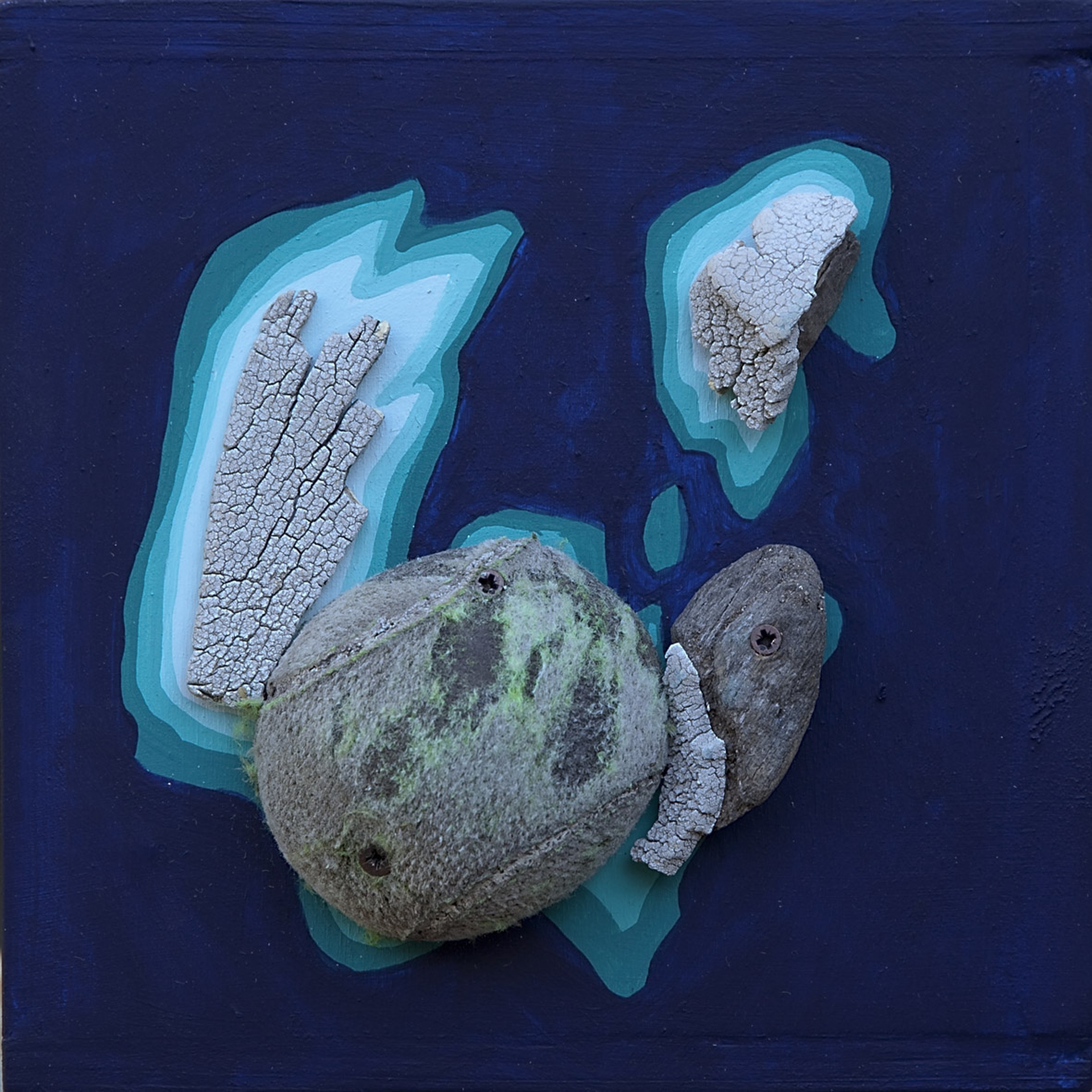 ANGELA. PICCOLE ISOLE CRESCONO N.6 (2010) 17 X 17 cm