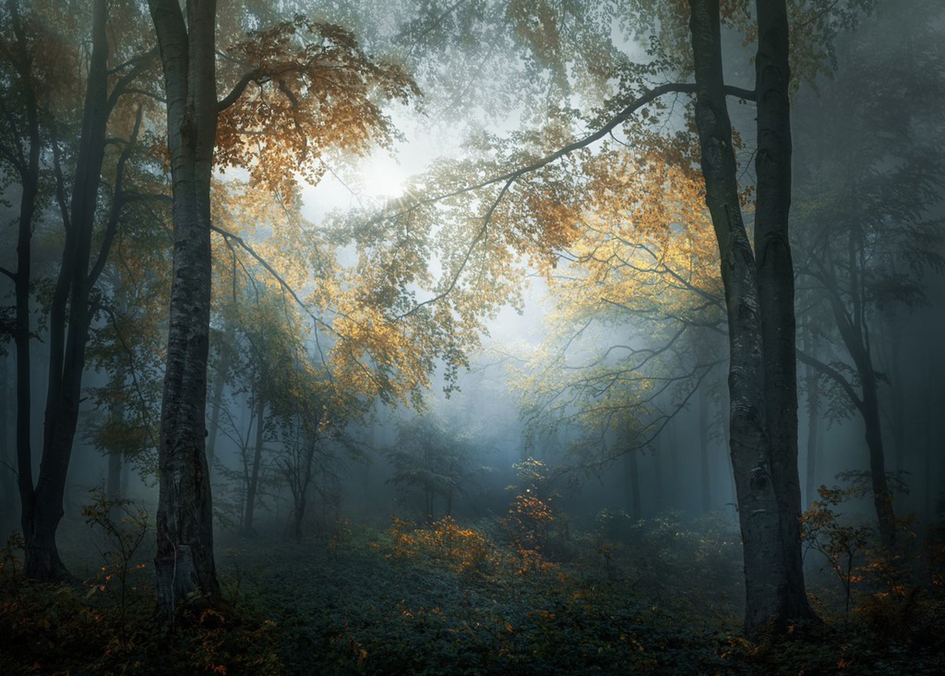 Early autumn, Veselin Atanasov – Sony World Photography Awards 2018