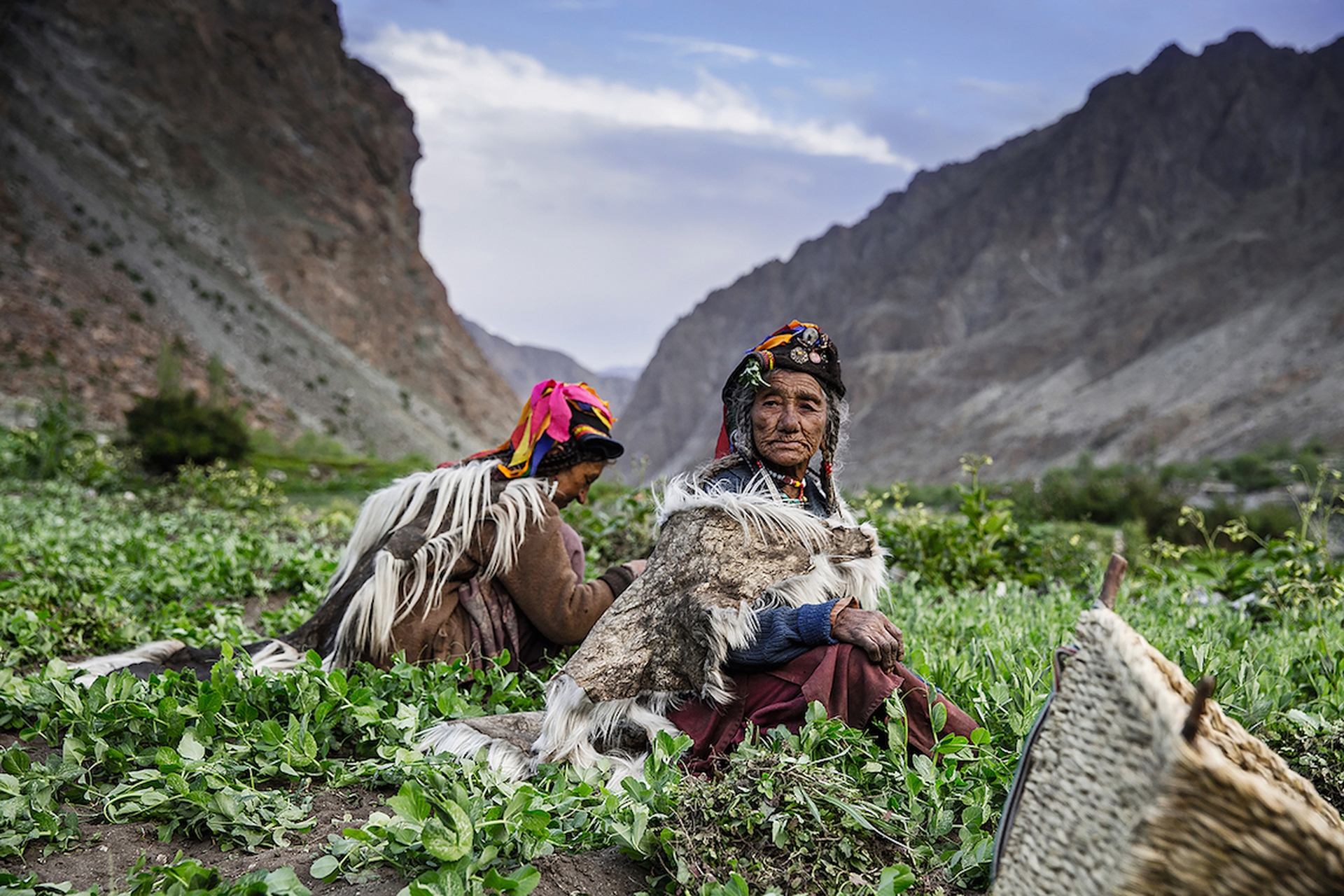 Work in Mountains_Smallholders Prize