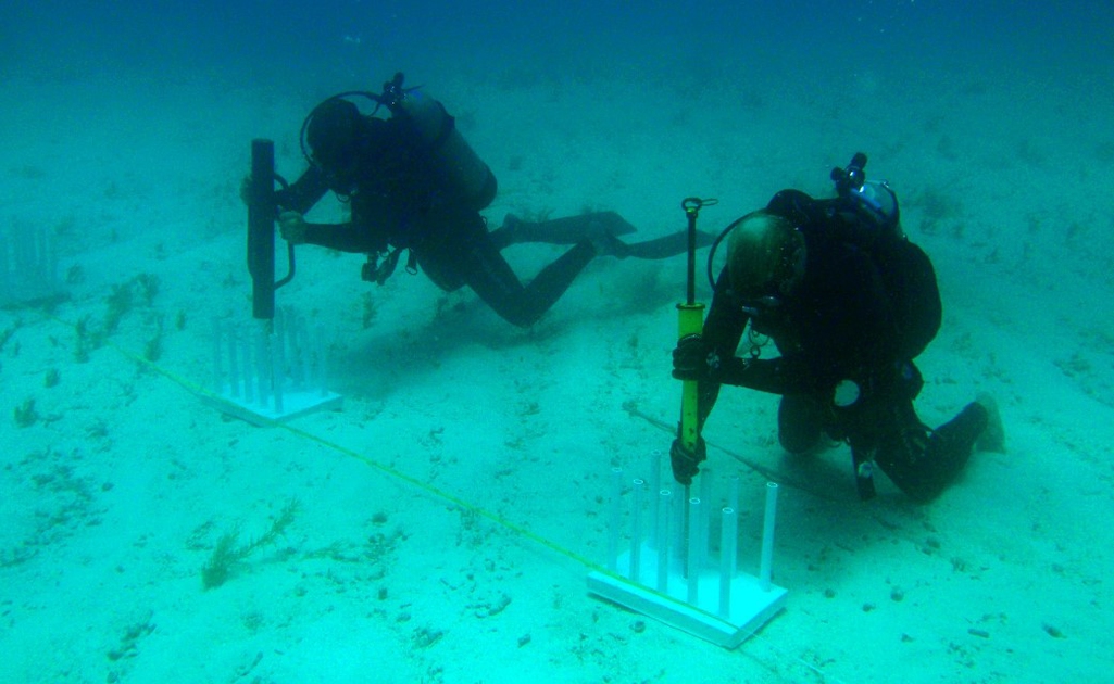 Strategies to save the Great Barrier Reef - LifeGate