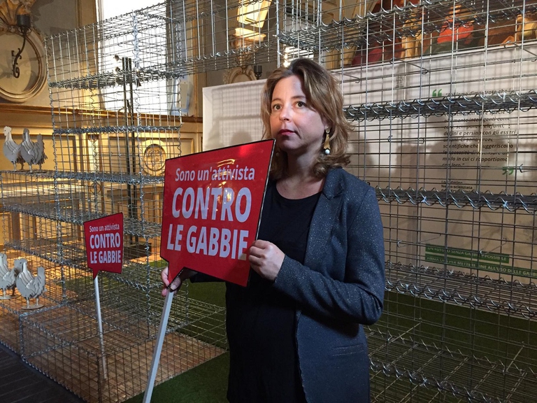 Il ministro della Salute Giulia Grillo al lancio della campagna End the cage age