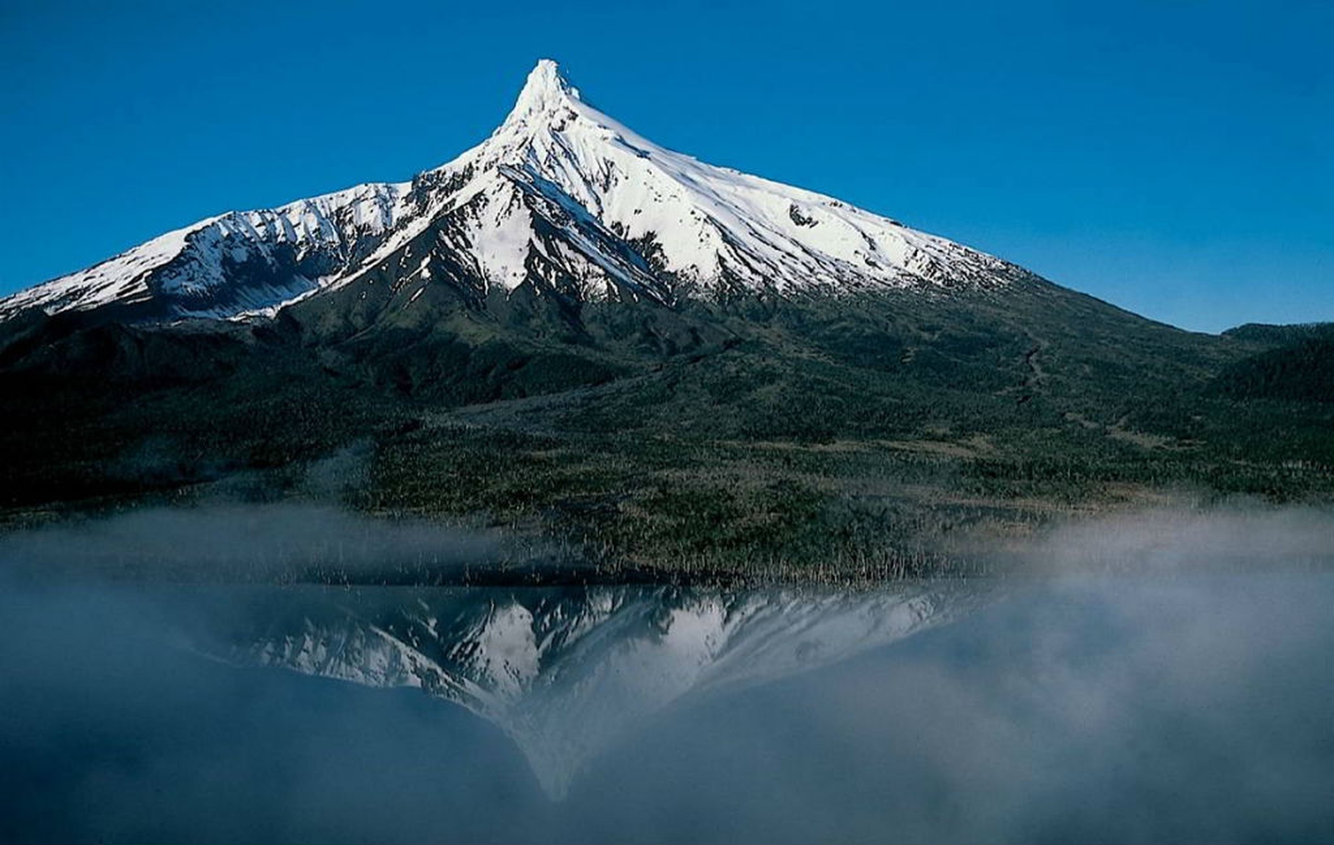 Parco Nazionale Corcovado Cile