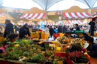 Lanciamo la petizione contro la chiusura del mercato di Campagna Amica