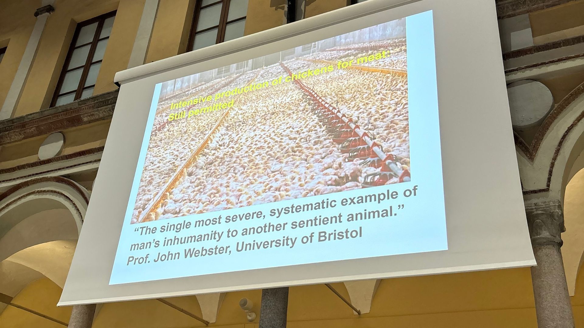 Allevamento Peter Singer