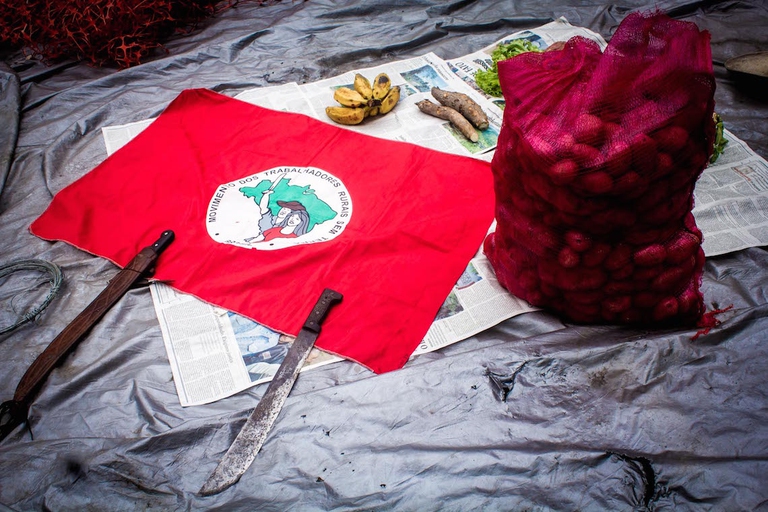 movimento sim terra flag