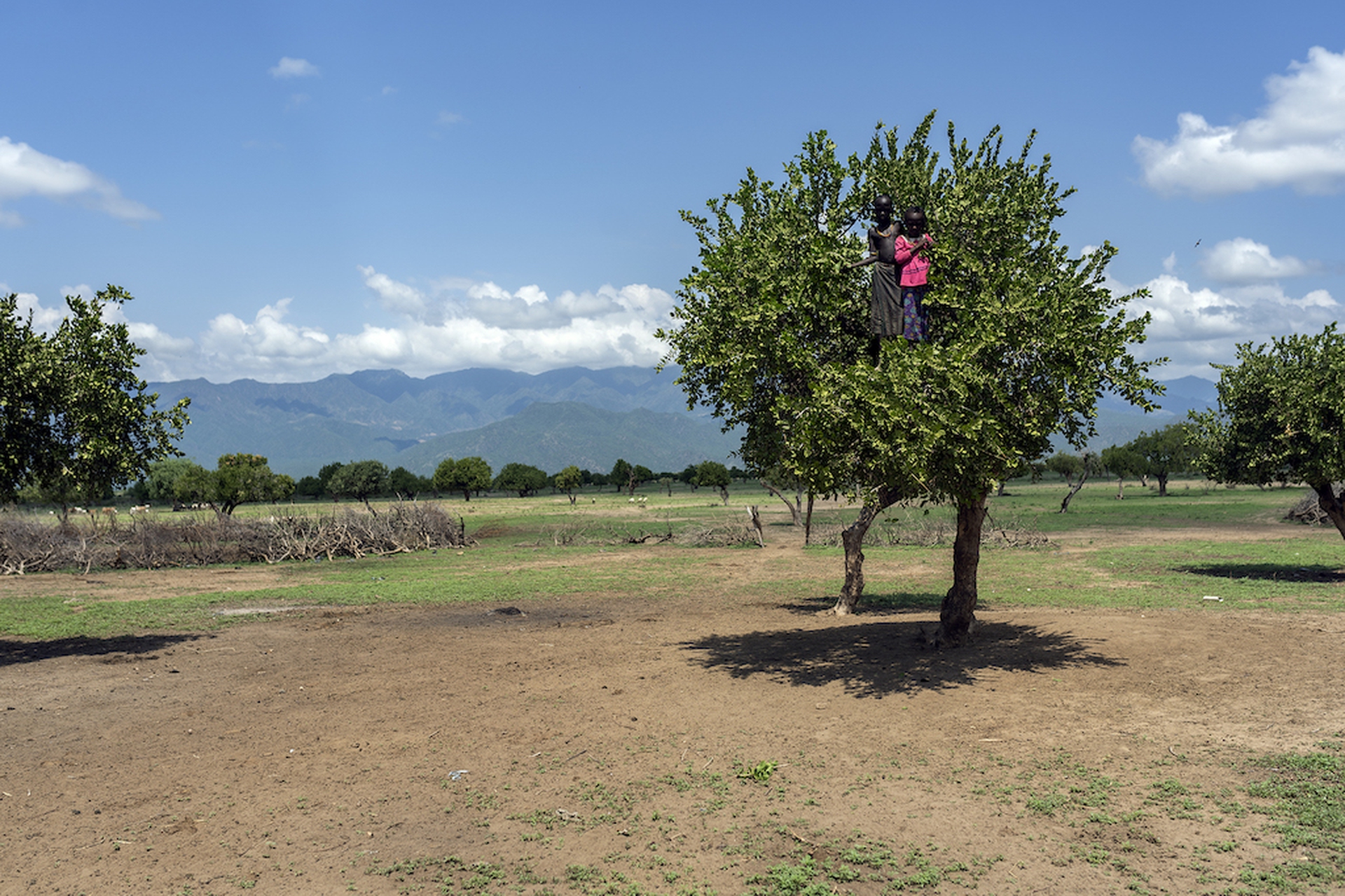 Valle dell'Omo, tribù Arbore