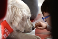 “Basta una zampa” e la dog therapy arriva nelle scuole