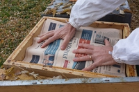 Bee my Future. Lo storytelling del 2015
