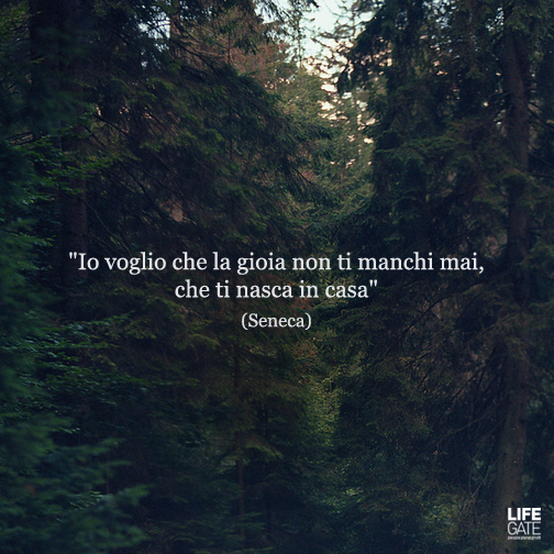 Le citazioni più belle per sempre - Seneca
