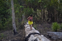 Perché la lotta contro la deforestazione in Amazzonia ci riguarda tutti