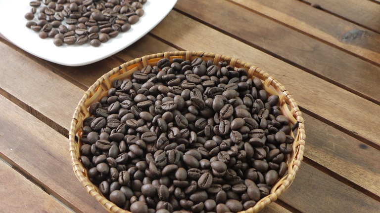 La varietà di caffè Robusta, di cui il Vietnam è primo produttore ed esportatore mondiale