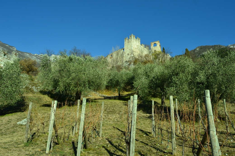 Mercatini ad AvioVallagarina, mercatini ad Avio (Trento)