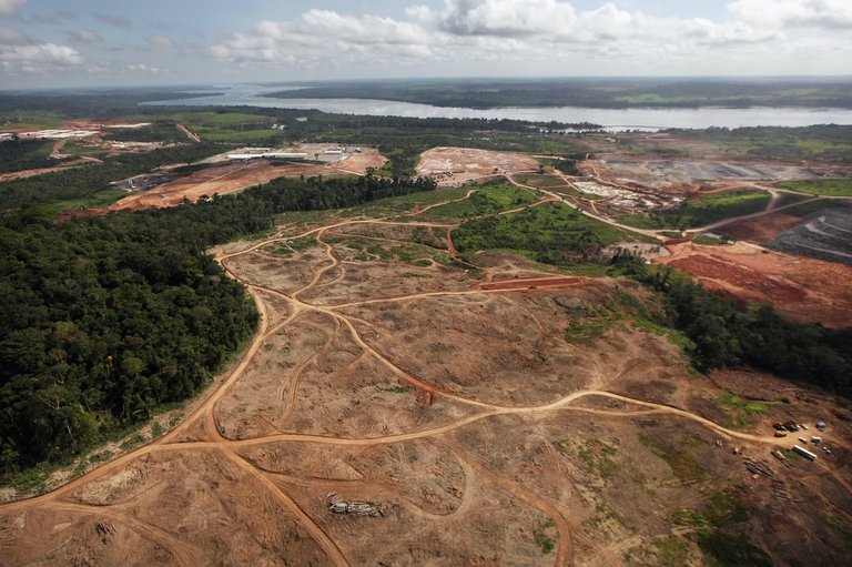 Deforestation in the Amazon under Bolsonaro