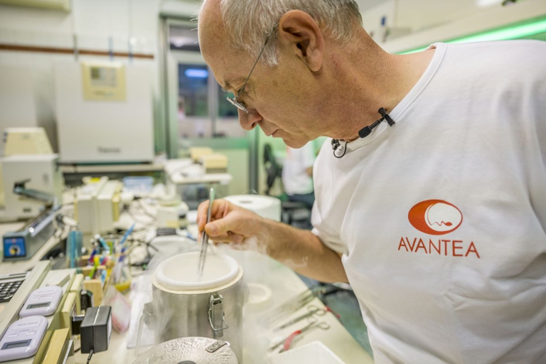 Egg fertilization and maturation