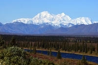 Alaska, Joe Biden vuole che la foresta di Tongass torni ad essere protetta