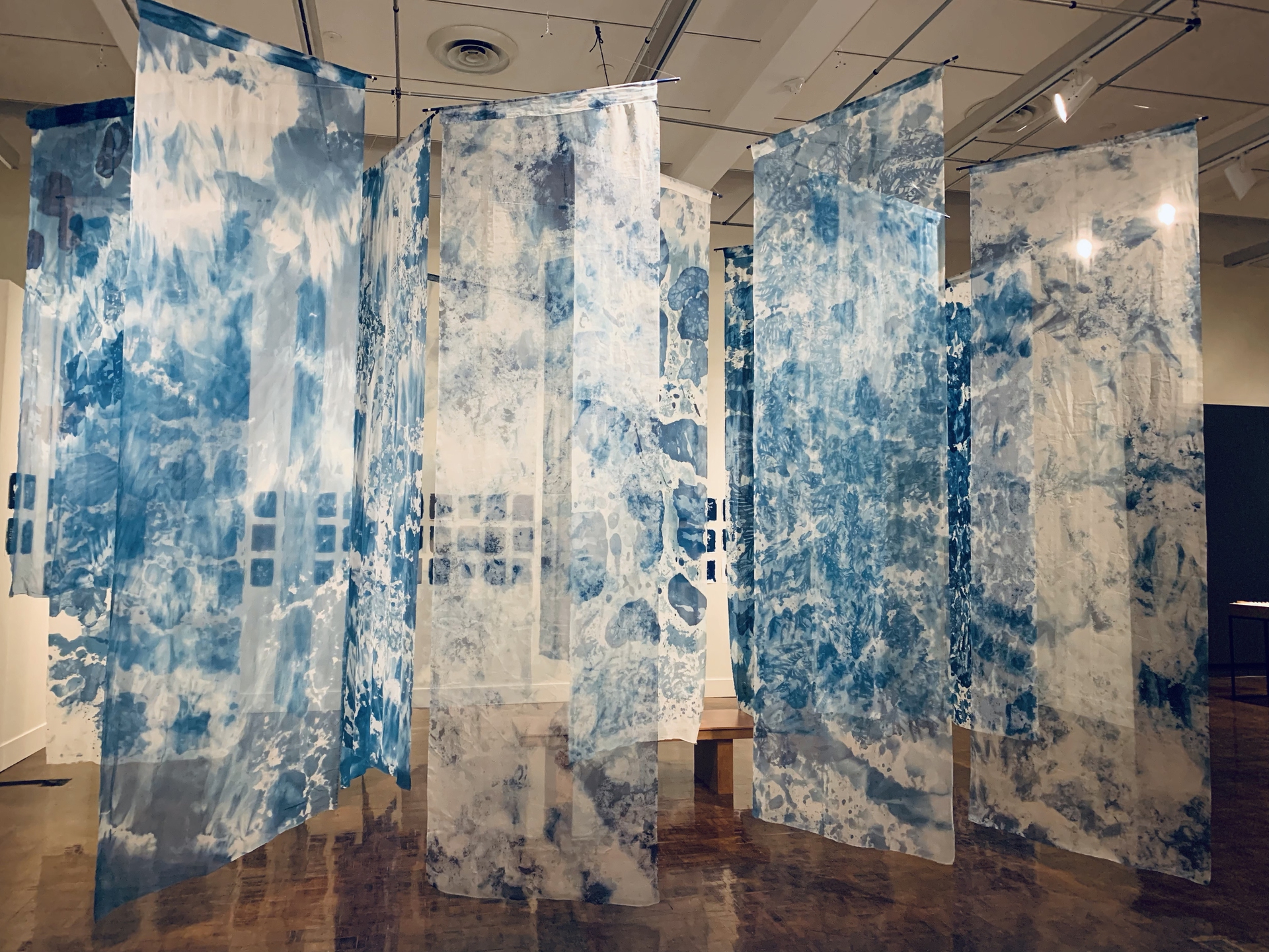 Stampe di alghe Limu con processo cianotipico in mostra all'Honolulu Museum of Art © Gwen Arkin