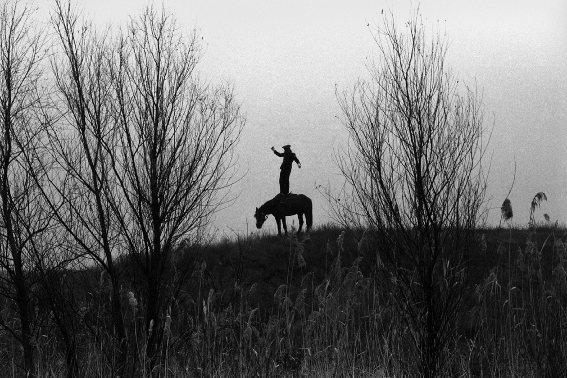 farm of Senshin, village of Oblivskaya district, Rostov region, Russia, 2010