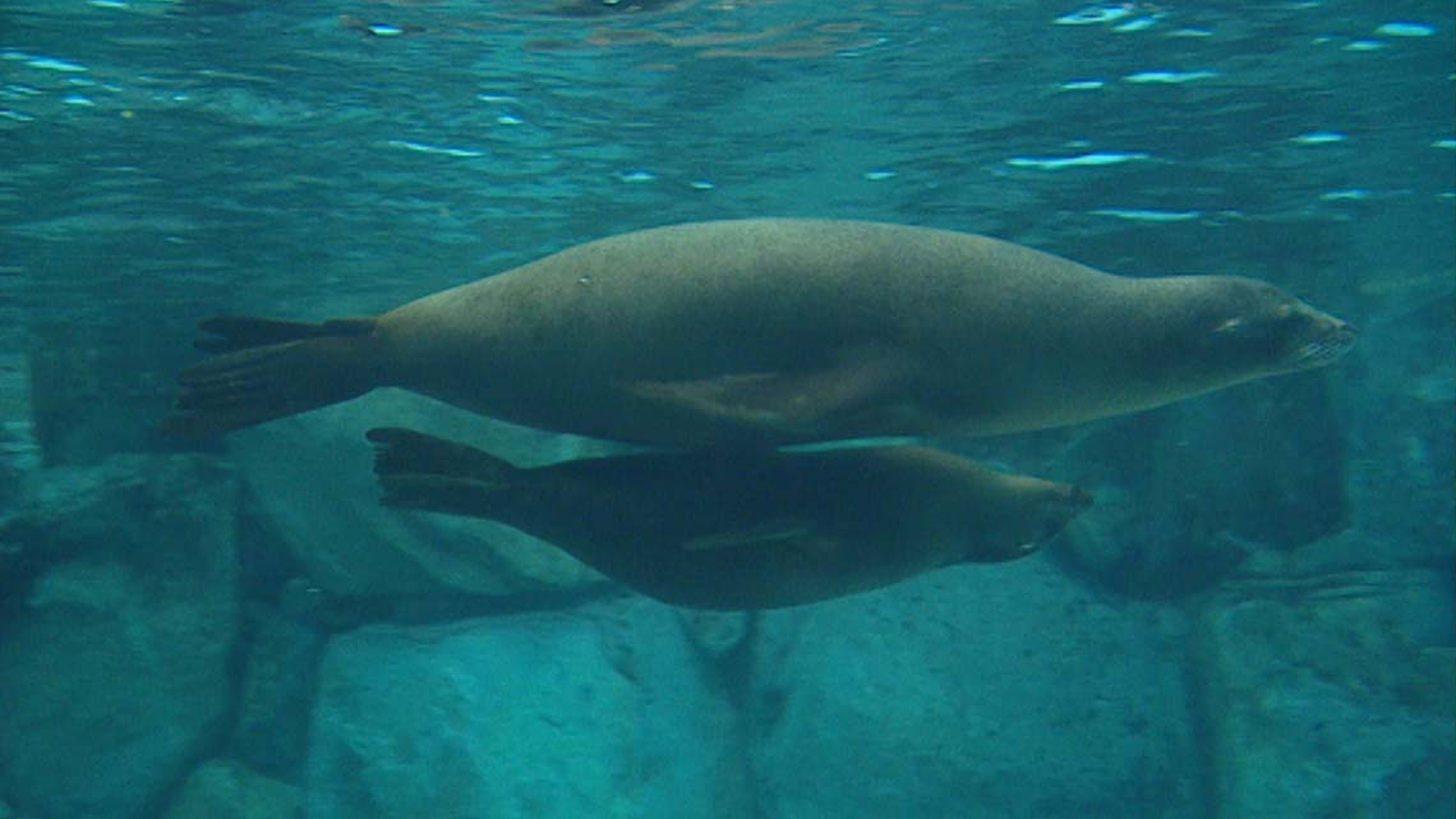 Nyman Earthquakes Still015