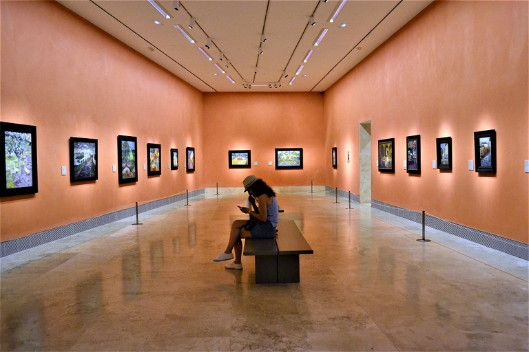 Il Museo Thyssen-Bornemisza 