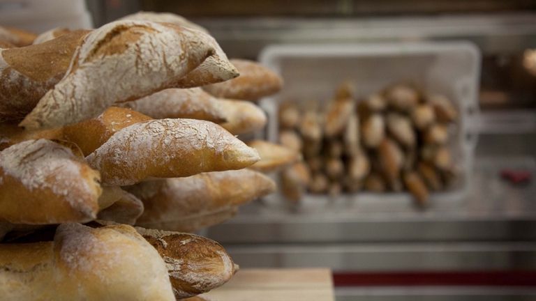 filoni pane malto lievitazione