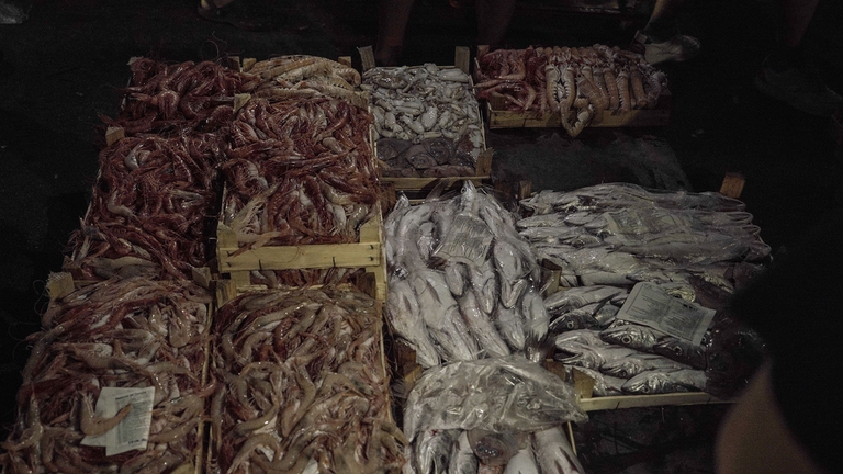 pescato del Mediterraneo