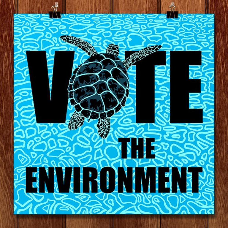 vote the environment, Candy Medusa
