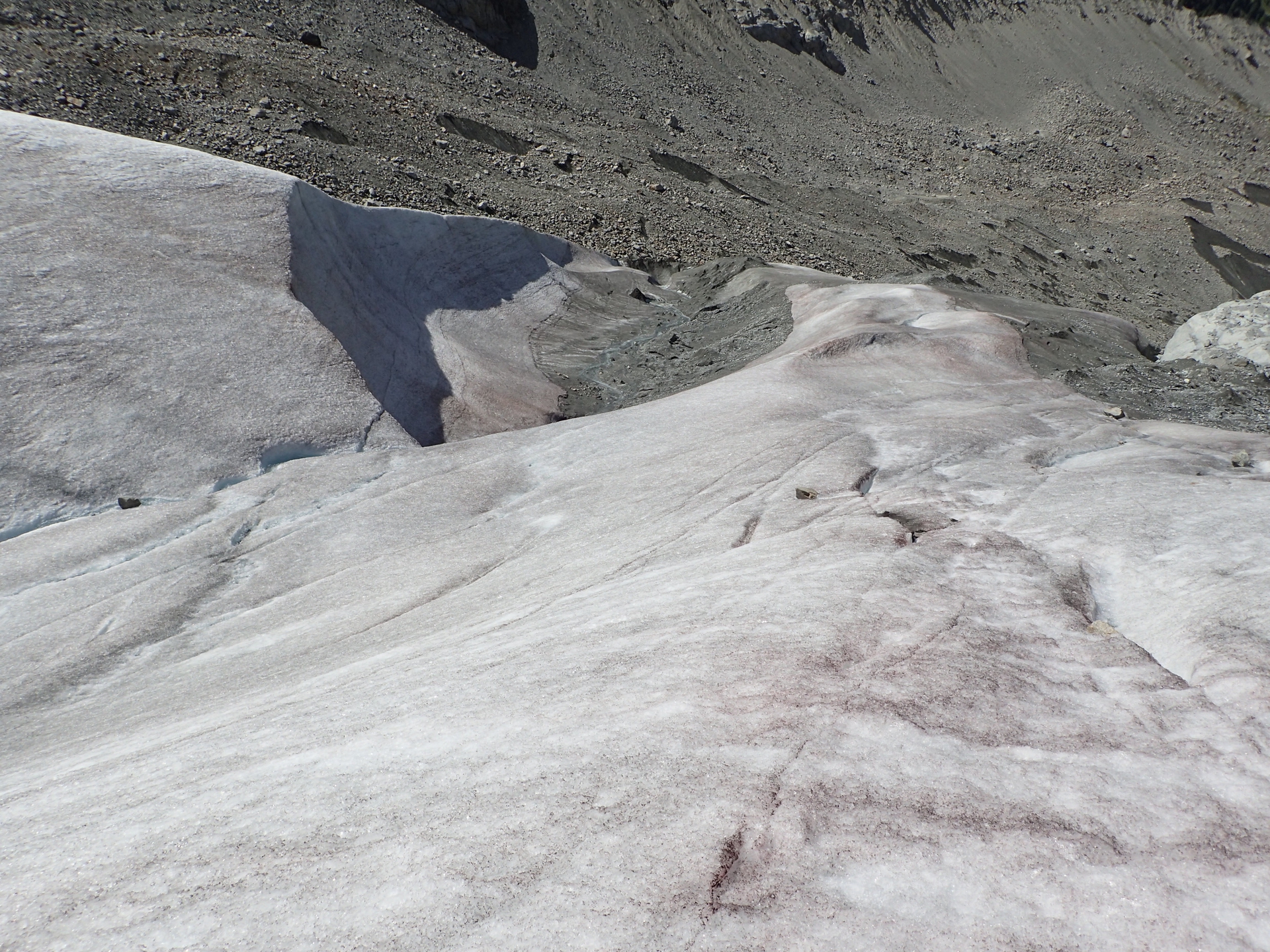 06. La fronte del ghiacciaio del Morteratsch ricoperta da una fioritura di alga rossa