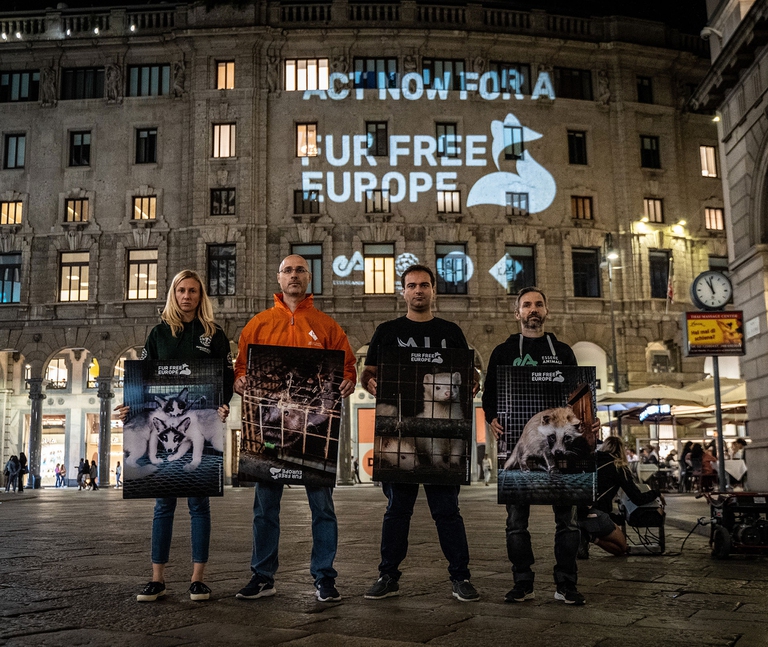 messaggio contro la produzione di pellicce