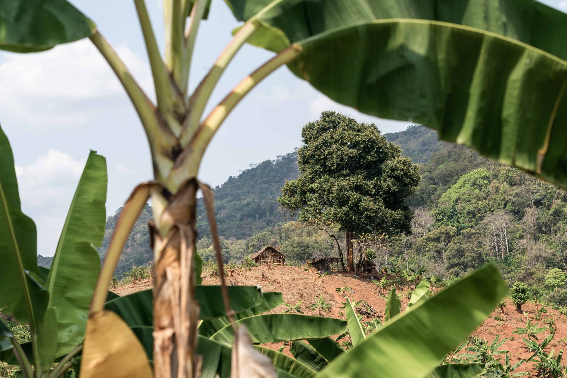 capanna di contandini locali