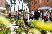 FloraCult 2019, il “viaggio” delle piante in mostra