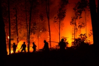 In Italia gli incendi sono triplicati rispetto all’anno scorso