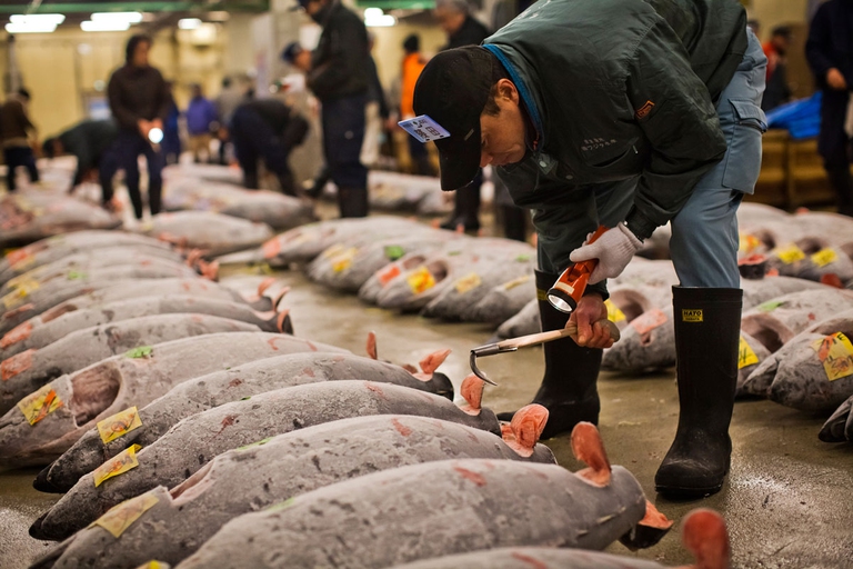 japan, tokyo, fish market