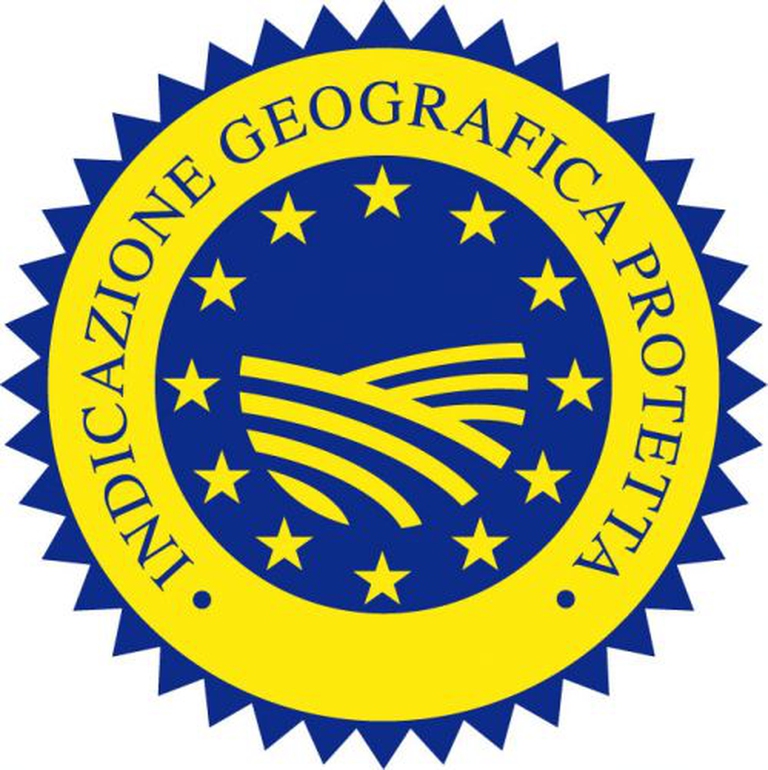 th_igp logo