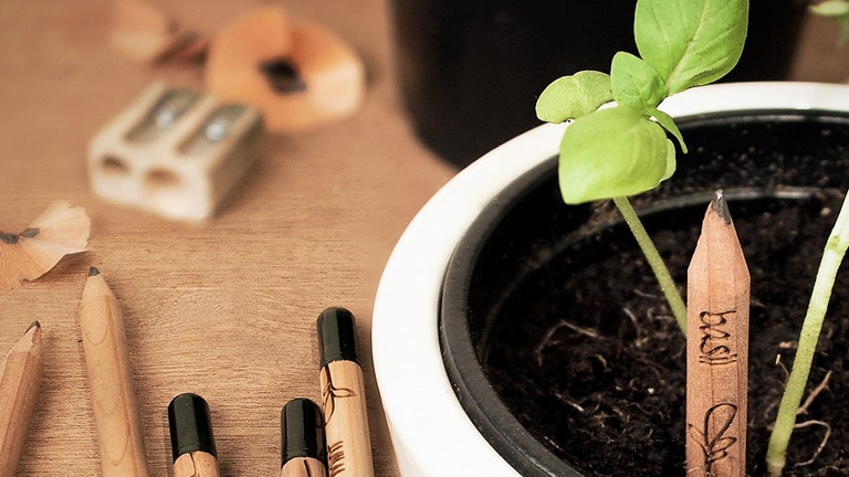 La celebre matita Sprout (che contiene 4 semini, è compostabile e che alla fine dell’uso la pianti e diventa un’erbetta aromatica) è nata proprio grazie a Kickstarter, ora Sprout è una società a tutti gli effetti e ha anche una sede in Danimarca.