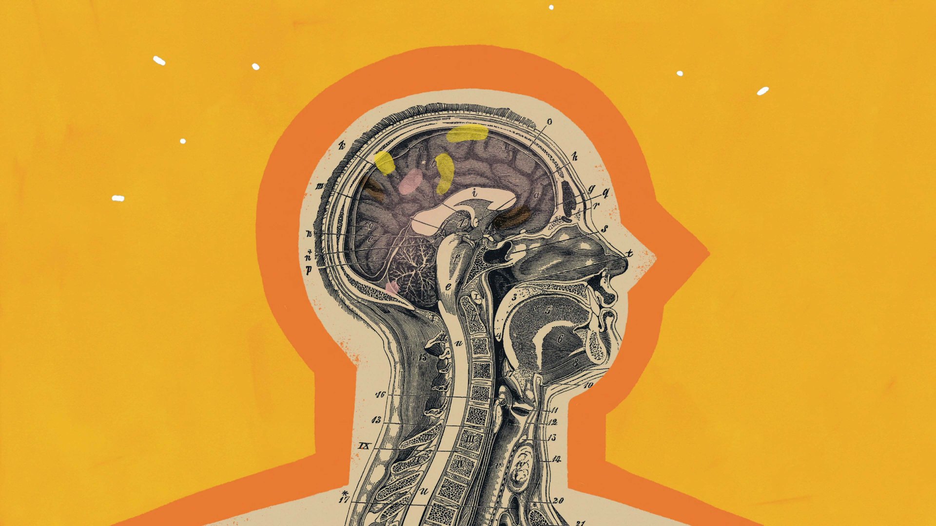 Le guide di Headspace: meditazione