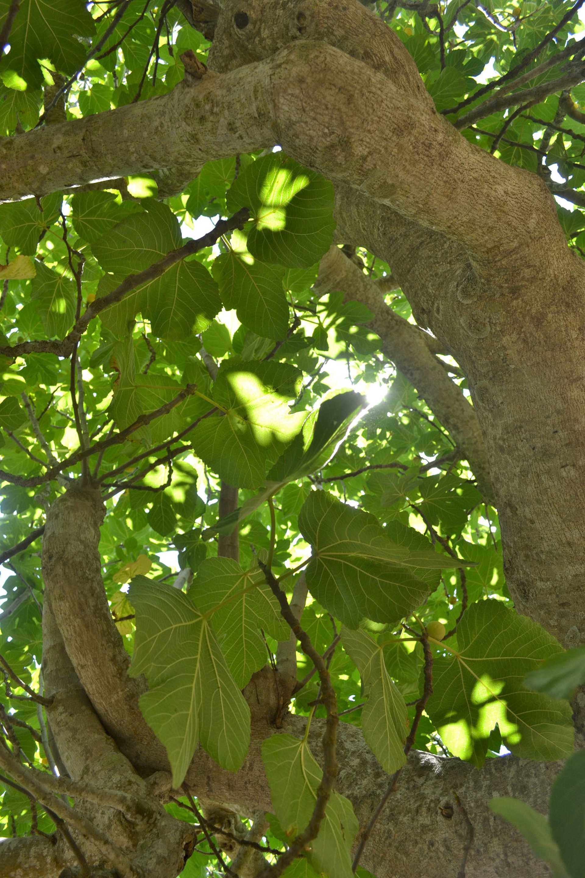 Children at the New York City strike