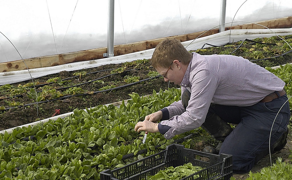 In Missouri Growing Vegetables Means Tackling Poverty LifeGate