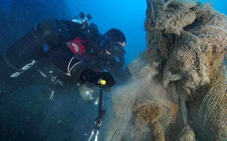 Hyundai e Healthy Seas 