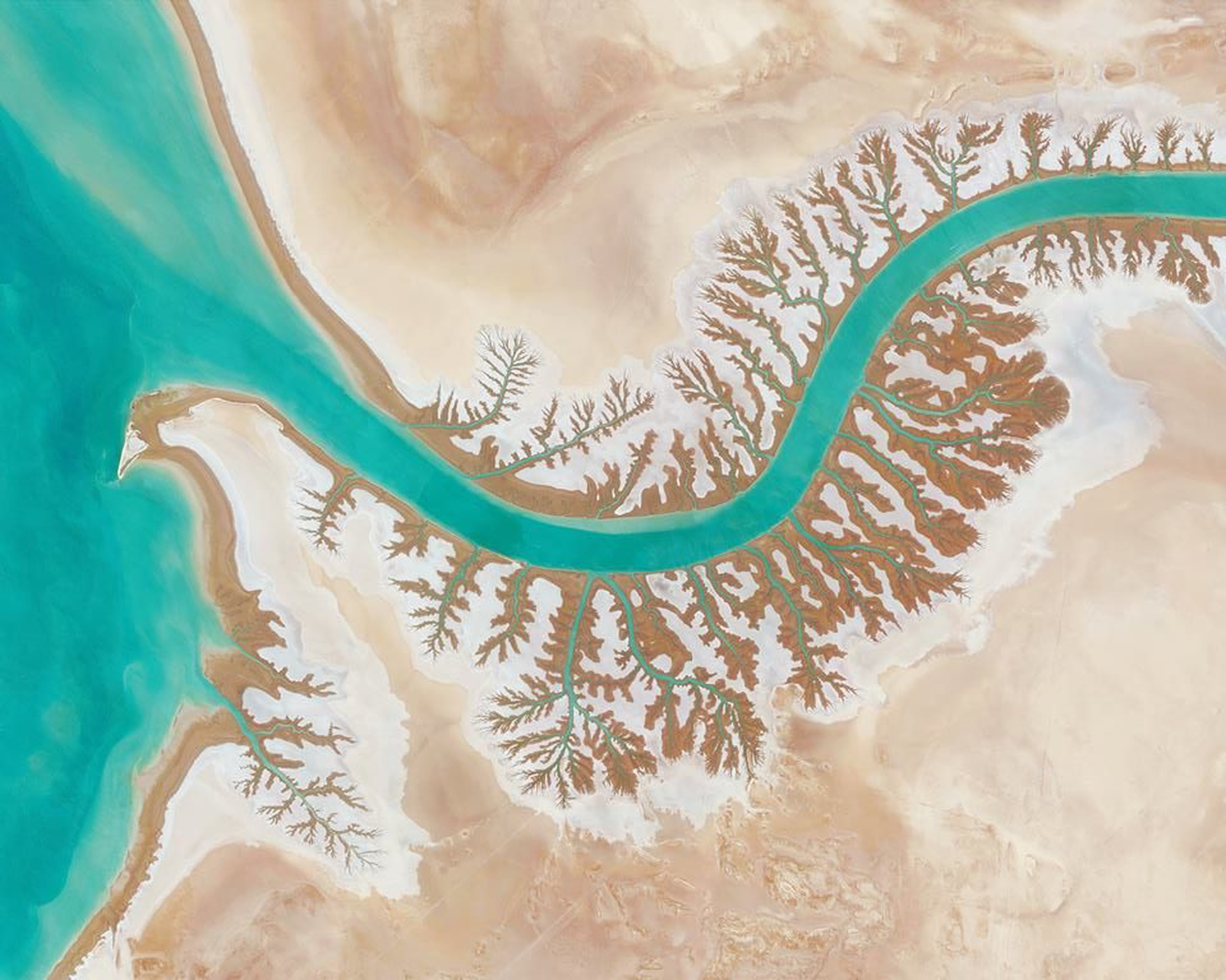 Overview. Shadegan Lagoon