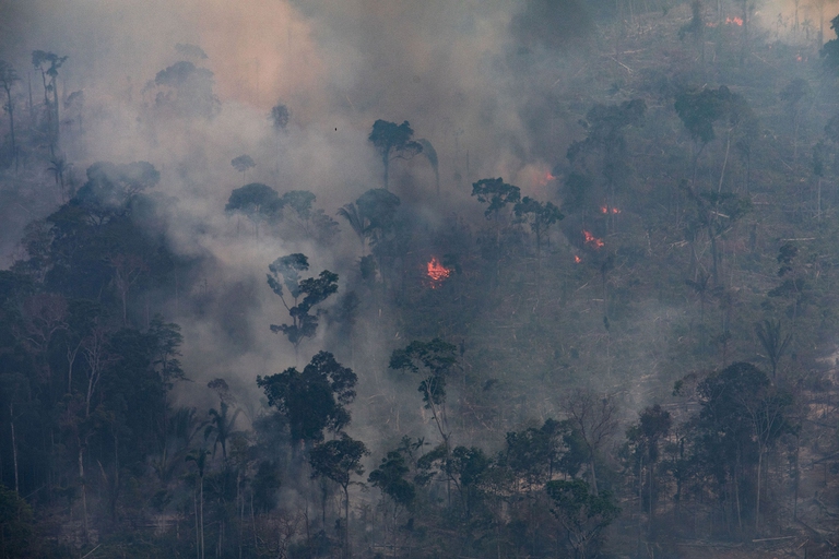 Non è vero che l’Amazzonia emette più CO2 che ossigeno