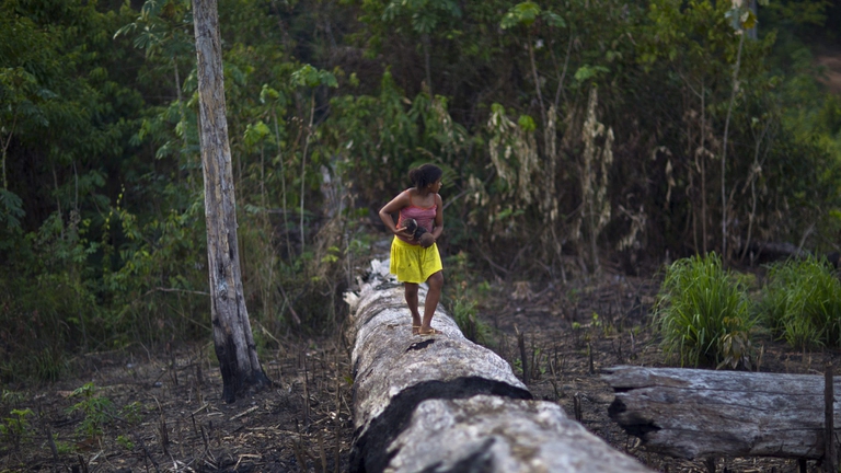 Una ragazza brasiliana cammina su un albero abbattutto nello stato di Para, in Amazzonia, un'area soggetta a continua deforestazione