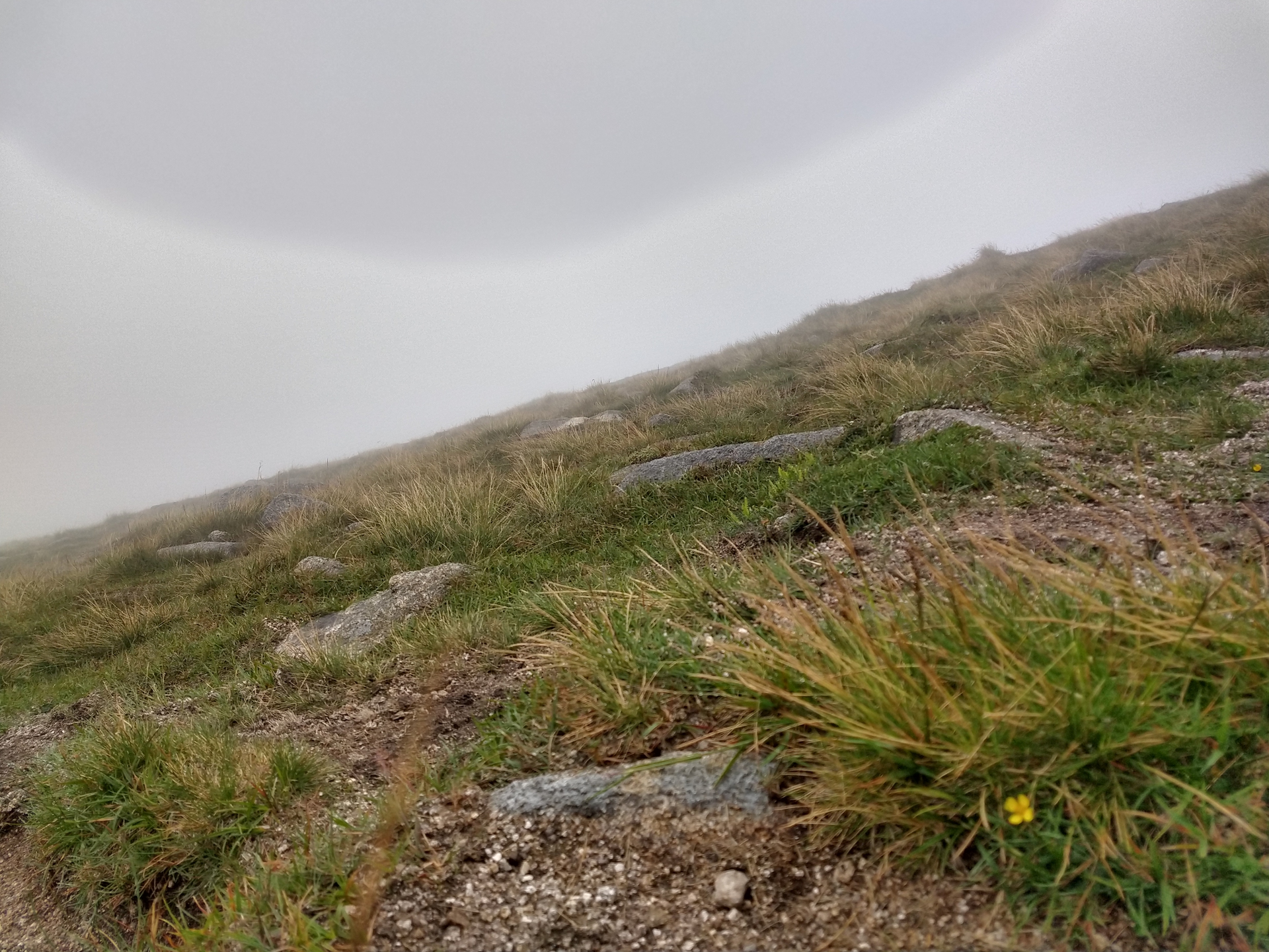 Path work in the Mournes