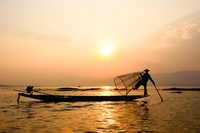 Il 2022 è l’Anno internazionale della pesca e dell’acquacoltura