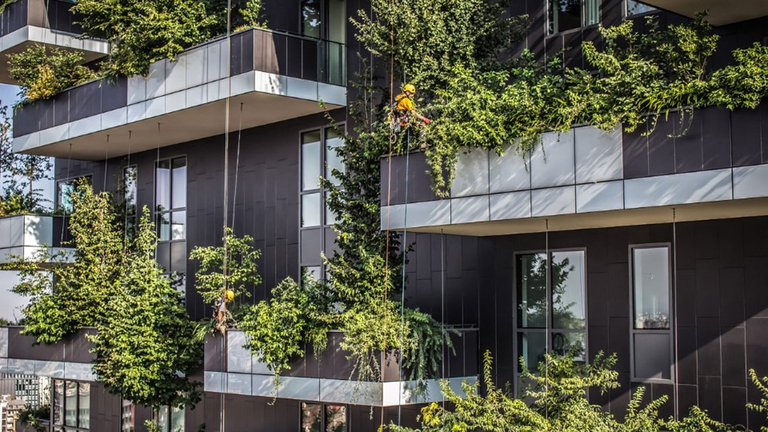 flying gardeners cortometraggio orti urbani