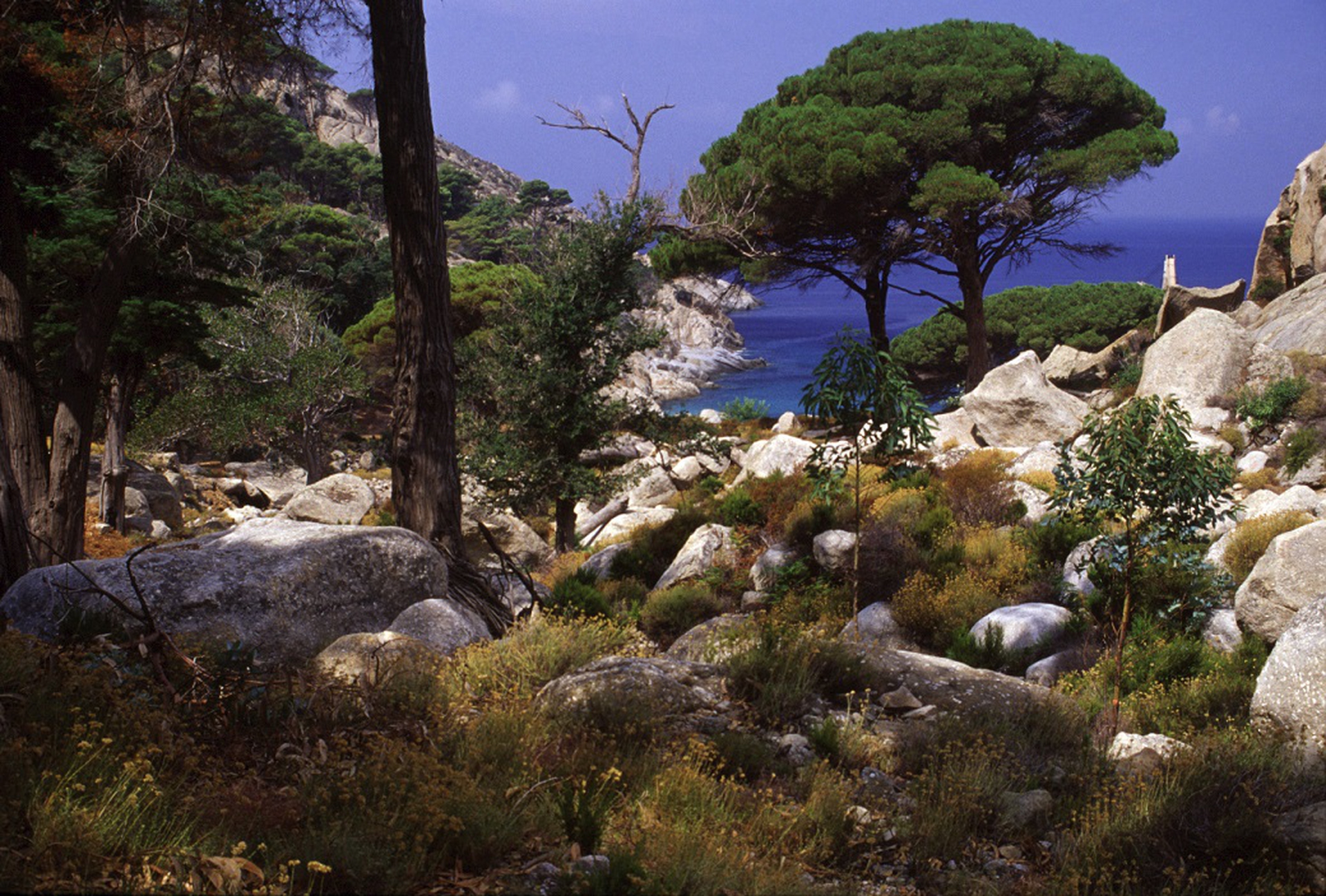 L'isola di Montecristo in età classica l'isola era chiamata Oglasa