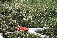 Prevenire l’ allergia con i fiori