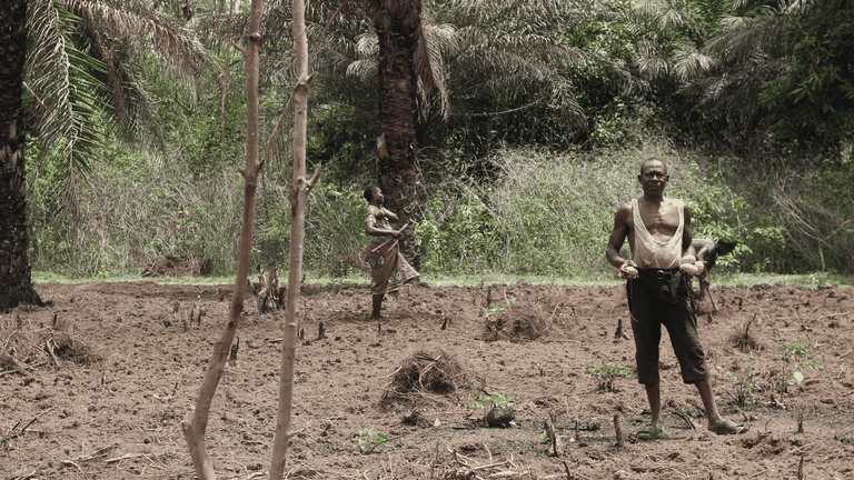 Contadini Sierra Leone
