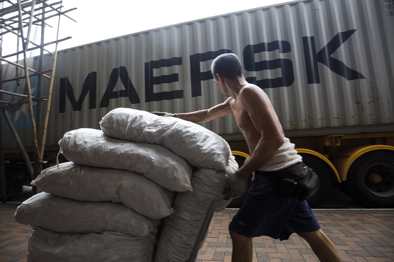Scarico di un container pieno di pinne di squalo