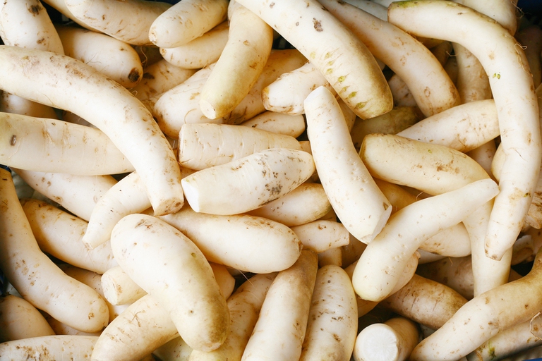 daikon inverno