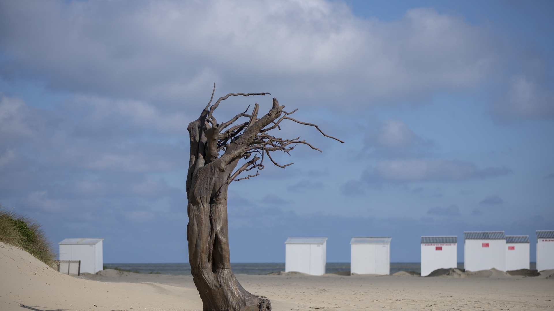 Els_Dietvorst_10_Westtoer_-_Beaufort21 copia